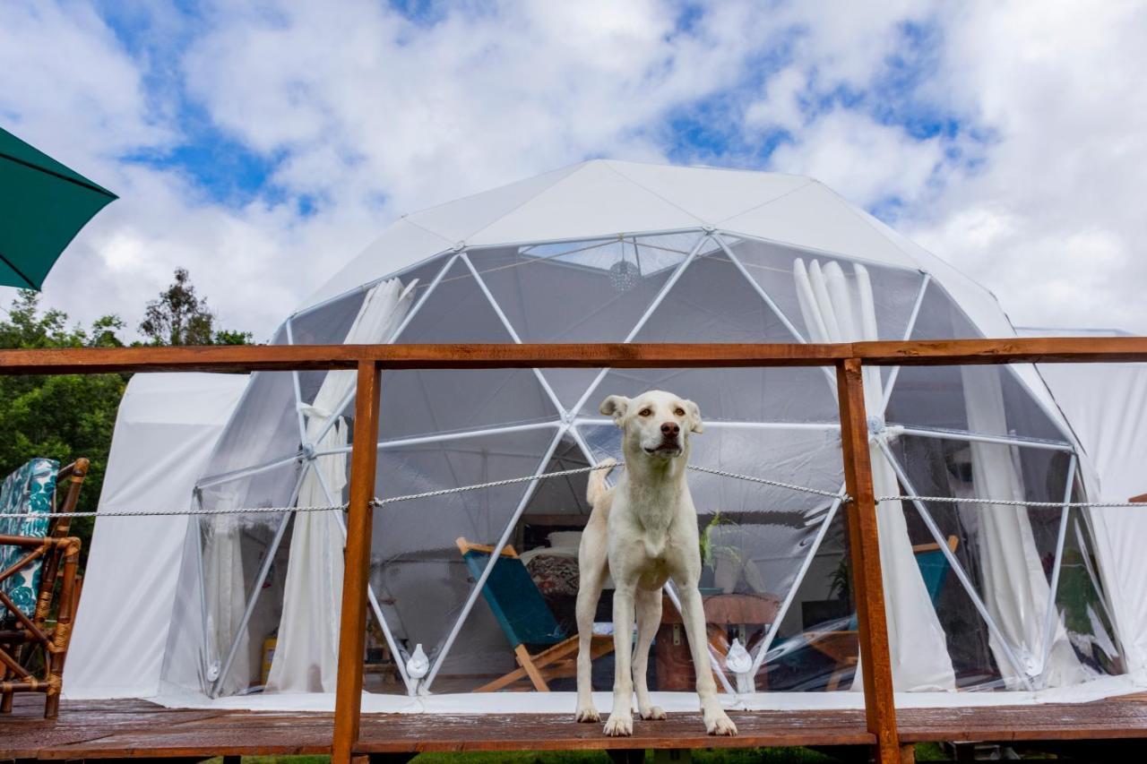Glamping Claro De Luna Guatavita Esterno foto